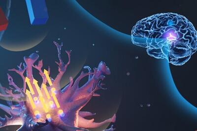 مشارکت ایران در رویداد جهانی برای شناخت مغز