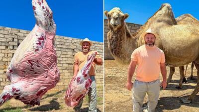 فرآیند پخت یک شتر 110 کیلوگرمی با پلو عربی (فیلم)