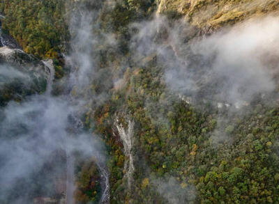 نمایی هوایی از جنگل انجیرچشمه رامیان