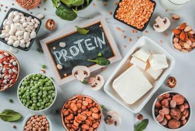 معرفی چند منبع طبیعی پروتئین برای کاهش وزن - اندیشه معاصر
