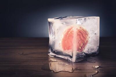 پژوهشگران چینی بافت مغز را پس از ۱۸ ماه انجماد، احیا کردند - زومیت