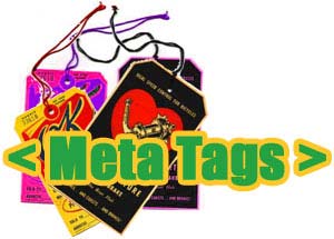 نقش متاتگها meta tags برای موتورهای جستجو