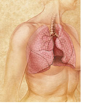 بیماری انسداد مزمن ریه ( COPD )