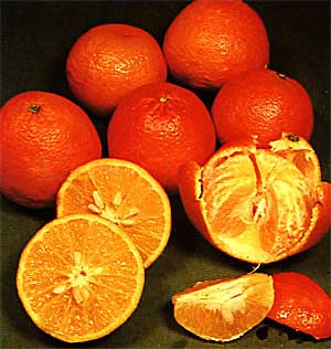 نارنگی، تقویت کننده هوش