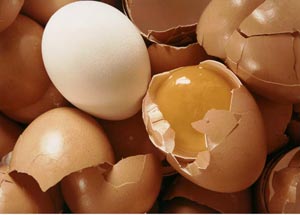 چگونه تخم مرغ سالم را تشخیص دهیم ؟