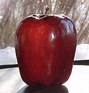 سیب چه خواصی دارد؟