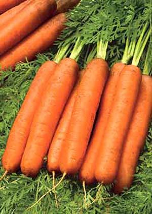 خواص متفاوت رنگ‌های هویج