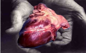 پنج گام مهم برای داشتن یک قلب سالمتر