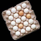 مقایسه کیفیت آلبومین در تخم مرغ های بارور و نابارور