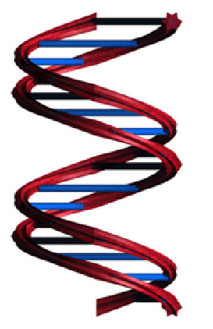 چگونگی کشف رمز DNA