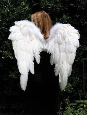فرشتگان در بهشت چه کار می کنند؟