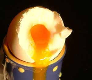 تخم مرغ، غذایی کامل و خوشمزه