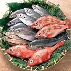 توصیه های لازم در مورد خرید ماهی