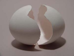 پوست تخم مرغ چگونه تشکیل می شود؟