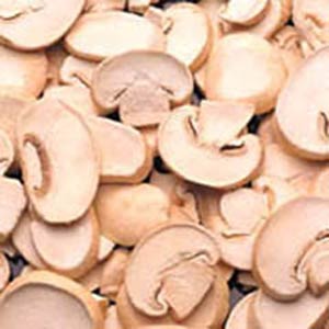 قارچ خوراکی  (Mushroom)