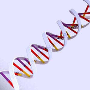 رابط بین DNA و پروتئین