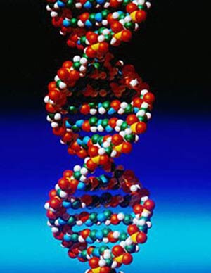 کلون‌سازی ژن چیست؟
