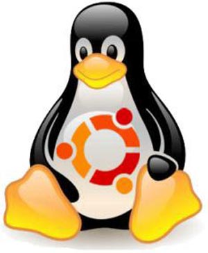 Linux یا Windows !