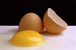 عوامل مؤثر در میزان رنگ زرده تخم مرغ