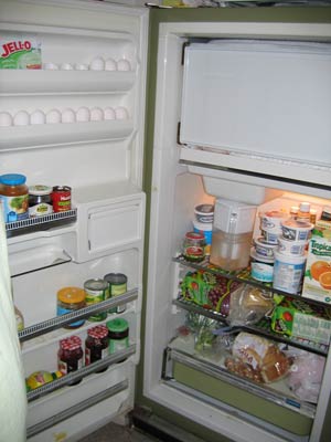 غذا و قطع برق یخچال