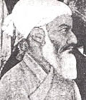 مولانا عبد ا... هاتفی