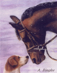 داستان " سگ و اسب "