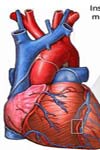 حساس ترین روش دومارکری ایزوآنزیم قلبی کراتین کیناز، تروپونین I و میوگلوبین در تشخیص سکته قلبی حاد
