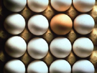 غنی سازی تخم مرغ با استفاده از رنگدانه های طبیعی