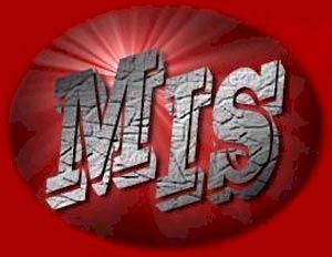 سیستم های اطلاعاتی مدیریت(MIS)
