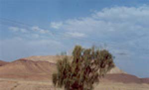 بررسی شناخت پوشش گیاهی بیابانهای منطقه آران وبیدگل