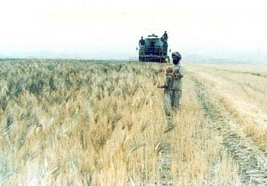 فرصتهای پیش روی بخش کشاورزی ایران