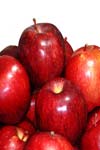 رابطه هزینه های تولید با مقیاس و اندازه فعالیت تولید سیب در ارومیه