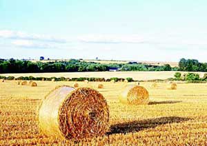 نگاهی به چالش ها و چشم اندازهای کشاورزی در اسپانیا