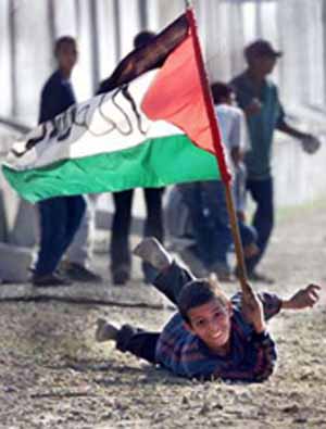 هر نیم ساعت یک فلسطینی شهید می شود!