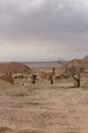 بررسی اثرات آبشویی در کاهش شوری و سدیمی قسمتی از اراضی حاشیه کویر بجستان