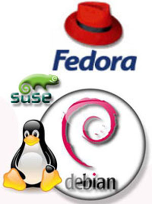 مروری بر سه توزیع مشهور لینوکس در سال ۲۰۰۵