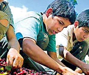 کودکان کار