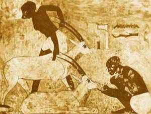 مصر (مقبره های تخته سنگی،نقاشی و پیکرتراشی)