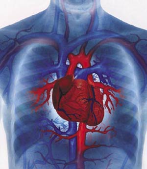 ارزیابی خطر ابتلا به بیماری های قلبی با استفاده از تست های آزمایشگاهی