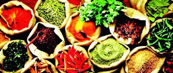 تغذیه و درمان با سبزی های صحرایی