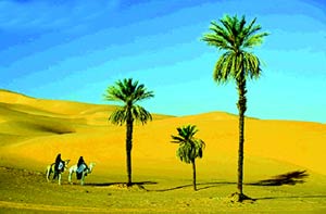 افزایش بیابان ها و خطرات خشکی در جهان عرب