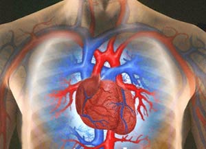 عوامل خطرساز بیماریهای قلبی عروقی در رژیم غذایی