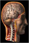 بررسی تاثیر کمای باربیتوراتی بر پیش آگهی بیماران ضربه مغزی