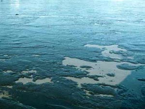 اثرات زیست محیطی لکه‌های نفتی در دریا