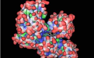 آمین های بیولوژنیک و نقش بیماریزایی آنها در طیور