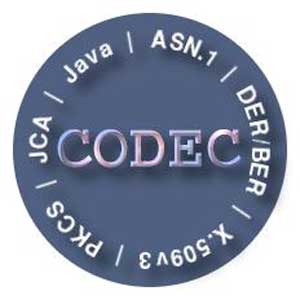 نصب Codec در ویندوز