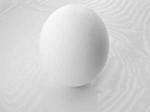 نقش منافذ موجود در پوسته تخم مرغ