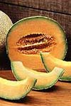 تولید کارآمد گیاهان هاپلویید به منظور ایجاد لاین های خالص در خربزه (cucumis melo L)