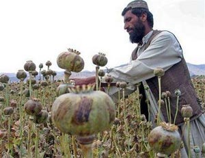 افغانستان ومعضل مواد مخدر