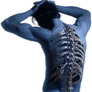 کایروپرکتیک، علم شناخت مفاصل (chiropractic)